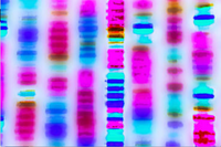 Mona Lisa Healthcare's Complete Health