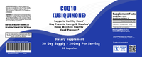 CoQ10 (Ubiquinone)