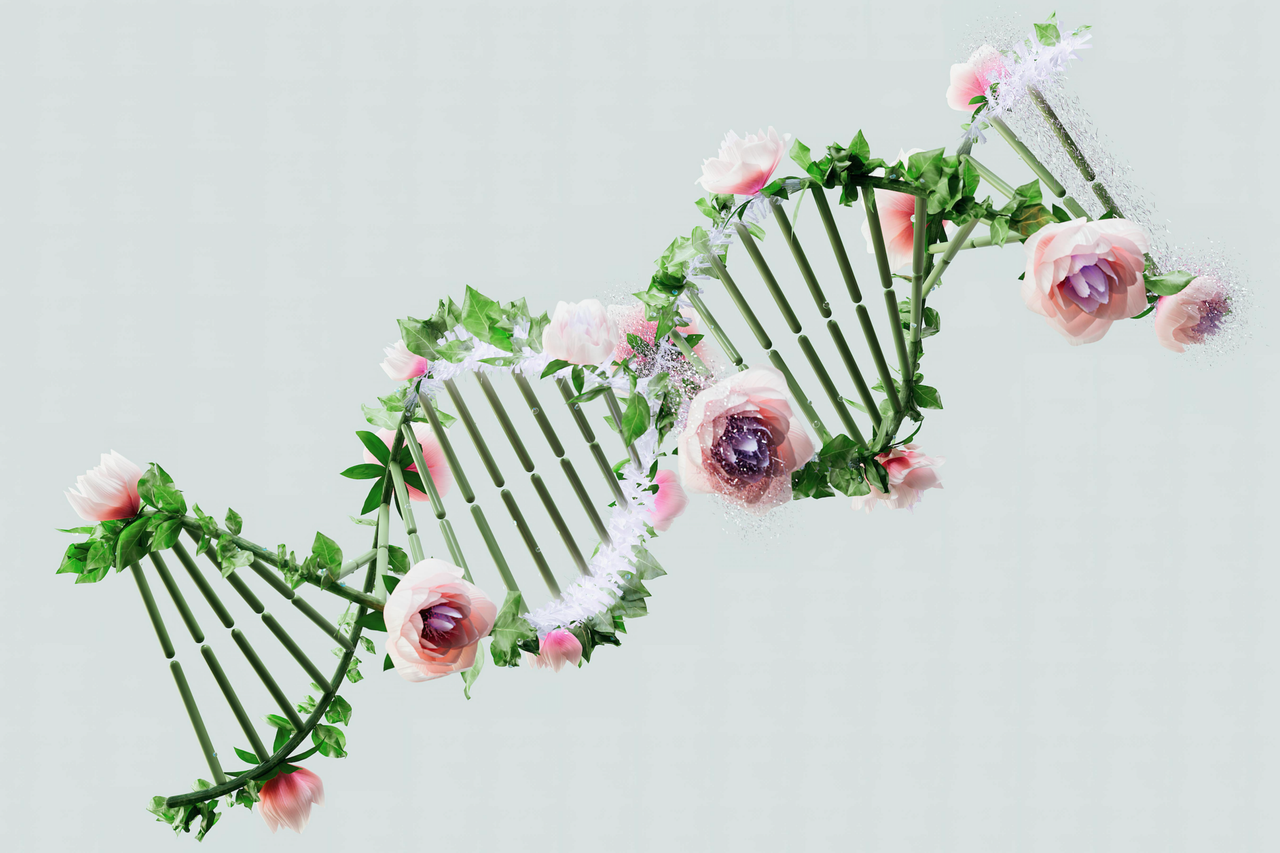 Mona Lisa Healthcare's Women's Health