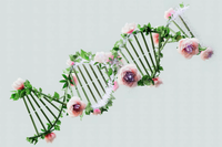 Mona Lisa Healthcare's Women's Health